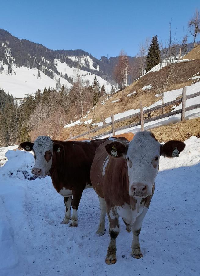 Вілла Almhof Grub Ваграйн Екстер'єр фото